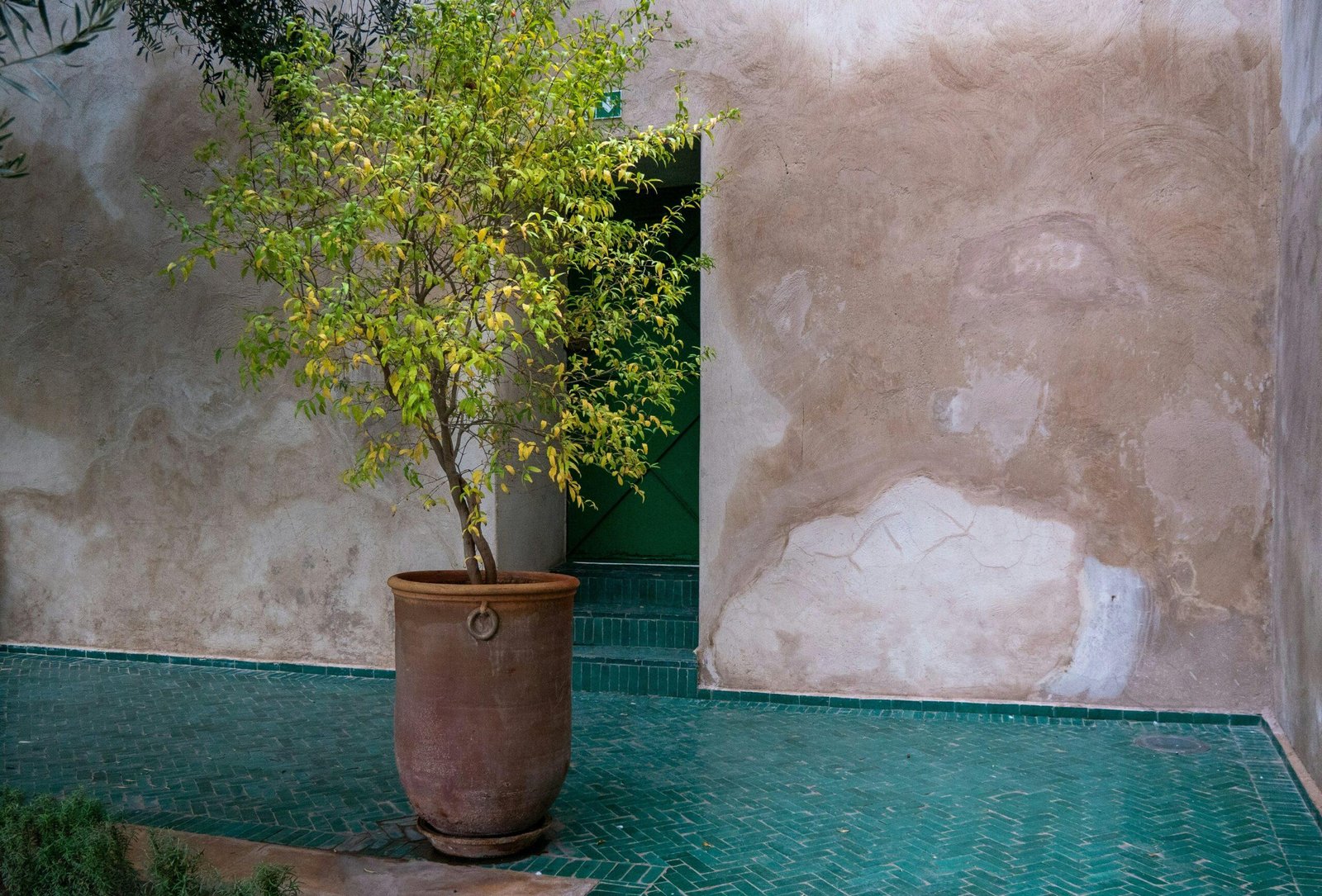 Before-and-after photo showcasing glowing skin transformation with herbal extract usage