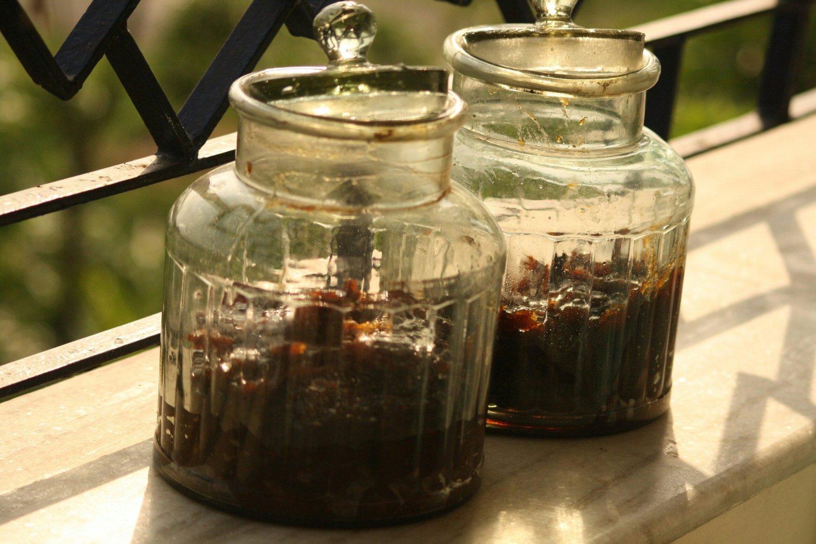 Variety of plant extracts in glass jars