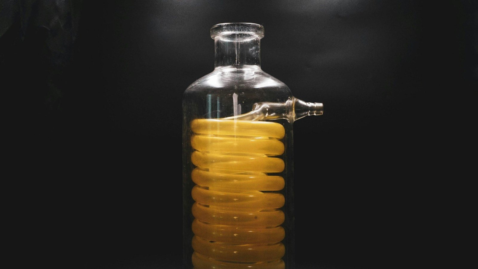 A field of sunflowers under a blue sky