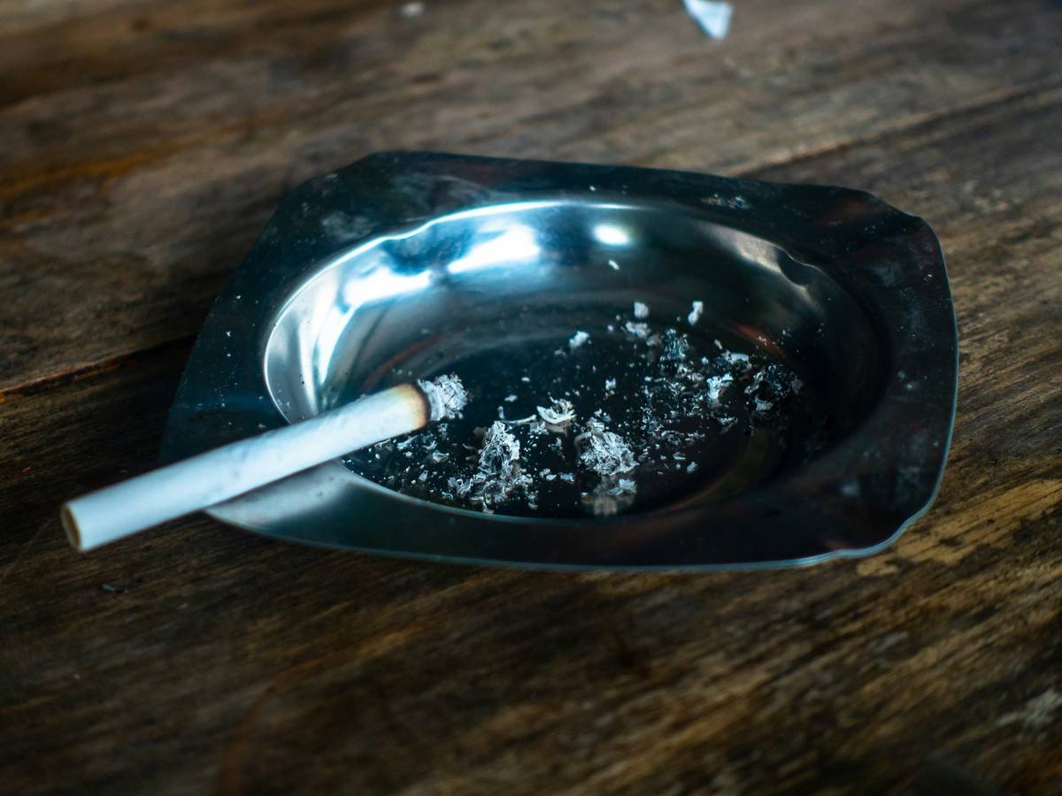 A bottle of organic lavender oil alongside fresh lavender flowers