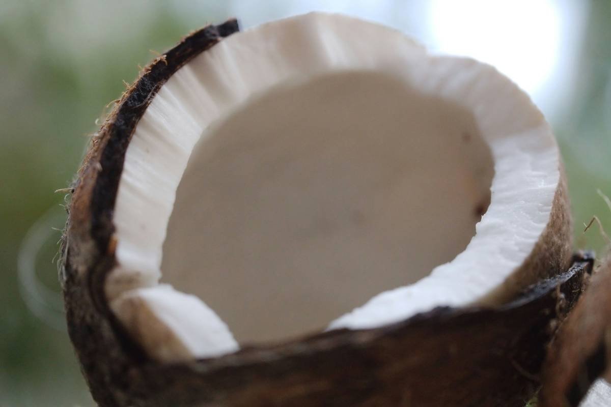 A woman applying coconut oil mixed with honey as a face mask.