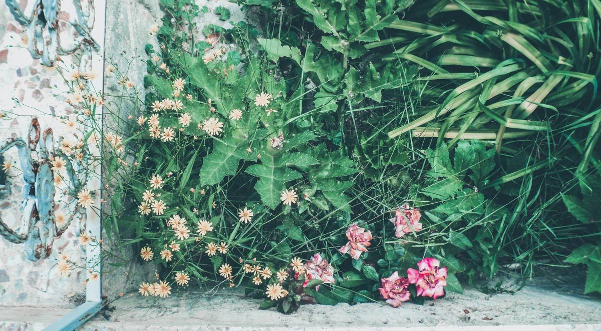 Sarah applying rice bran oil onto her arms after a shower.