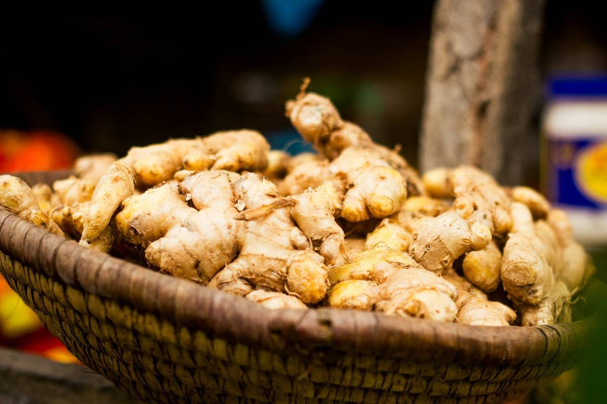 Unlocking the Secret Powers of Ginger Natural Extract in Organic Oils