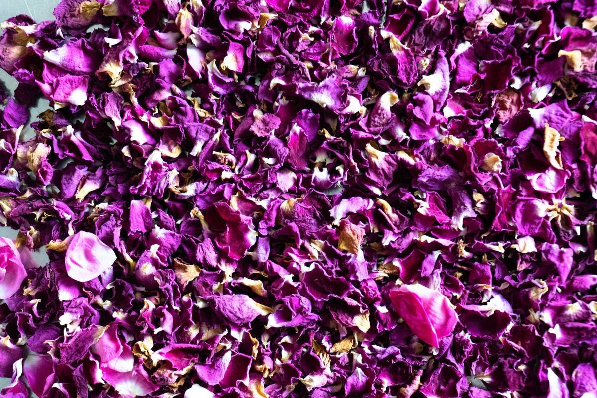 Why Mustard Skincare Might Be Your Skin's Secret Weapon (No, Seriously)