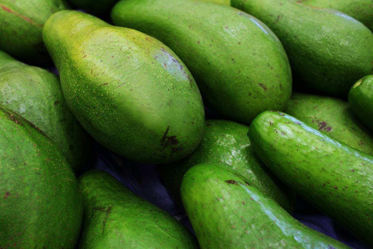 Why Organic Avocado Oil Should Be Your Next Skincare Obsession