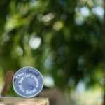 Unlocking the Power of Oregano Essence: Your Ultimate Guide to Organic Oils