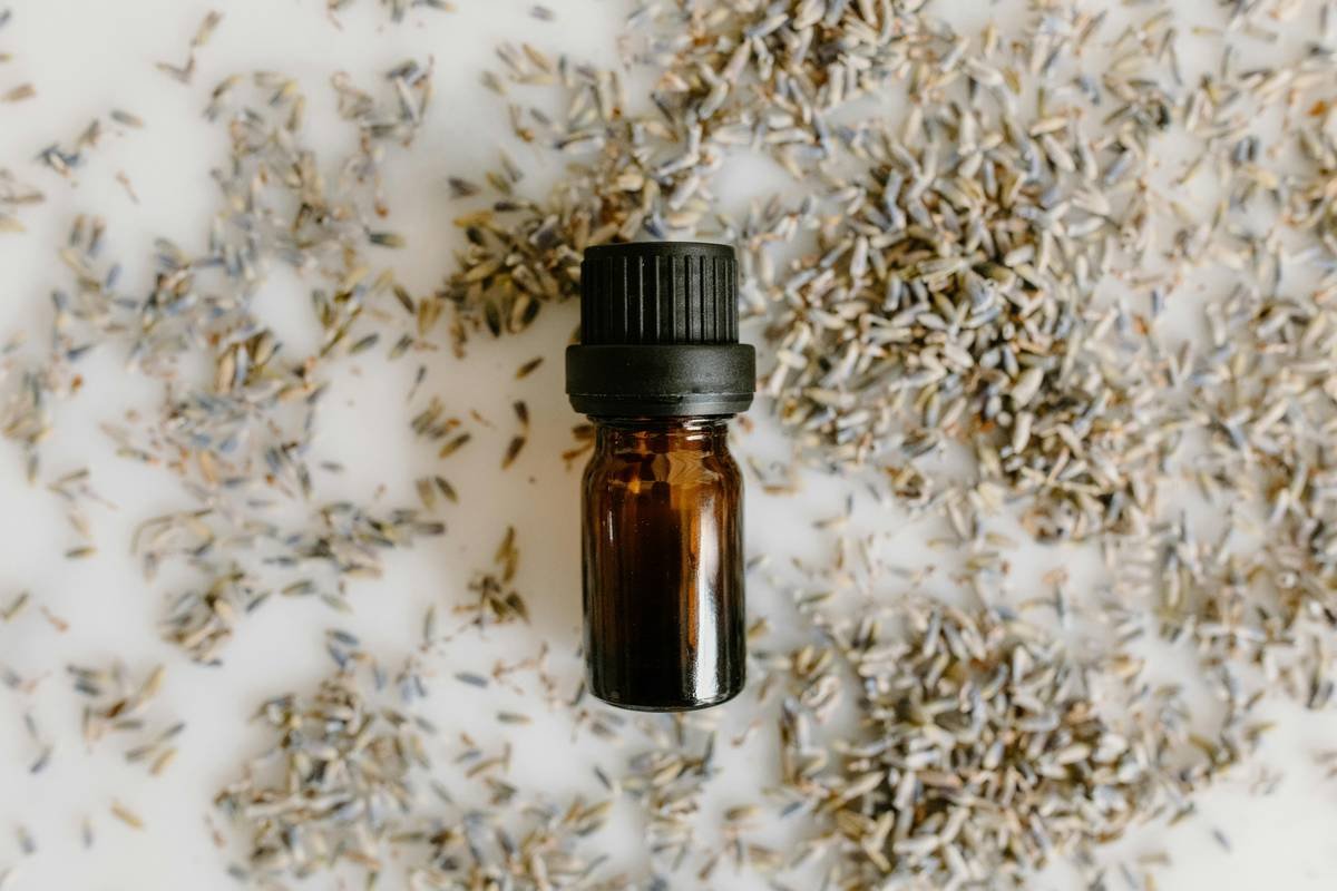 Jojoba Skin Oil: The Organic Secret Your Skincare Routine’s Been Missing