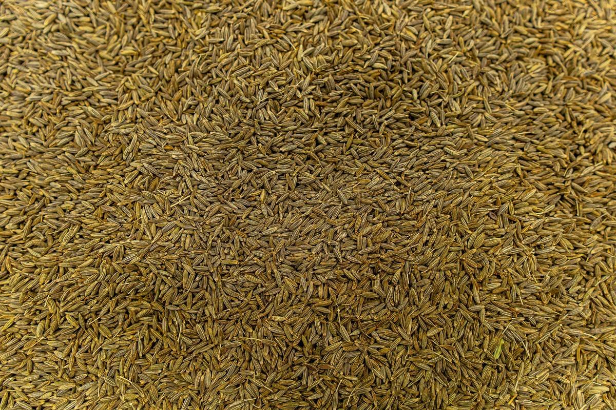 Infographic showing cumin oil benefits: 72% antimicrobial efficacy against P. acnes bacteria, 40% reduction in oxidative stress markers in vitro, and recommended dilution ratio of 1% in carrier oil