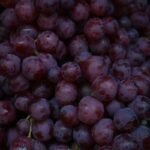 Why Cold Press Grapeseed Oil Deserves a Spot in Your Organic Skincare Routine (And How Not to Waste It)