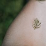 Why Your Skin Is Begging for an Organic Hemp Blend (And How to Use It Right)