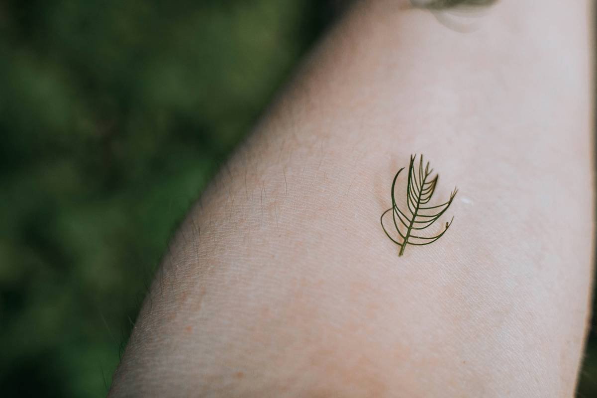 Why Your Skin Is Begging for an Organic Hemp Blend (And How to Use It Right)