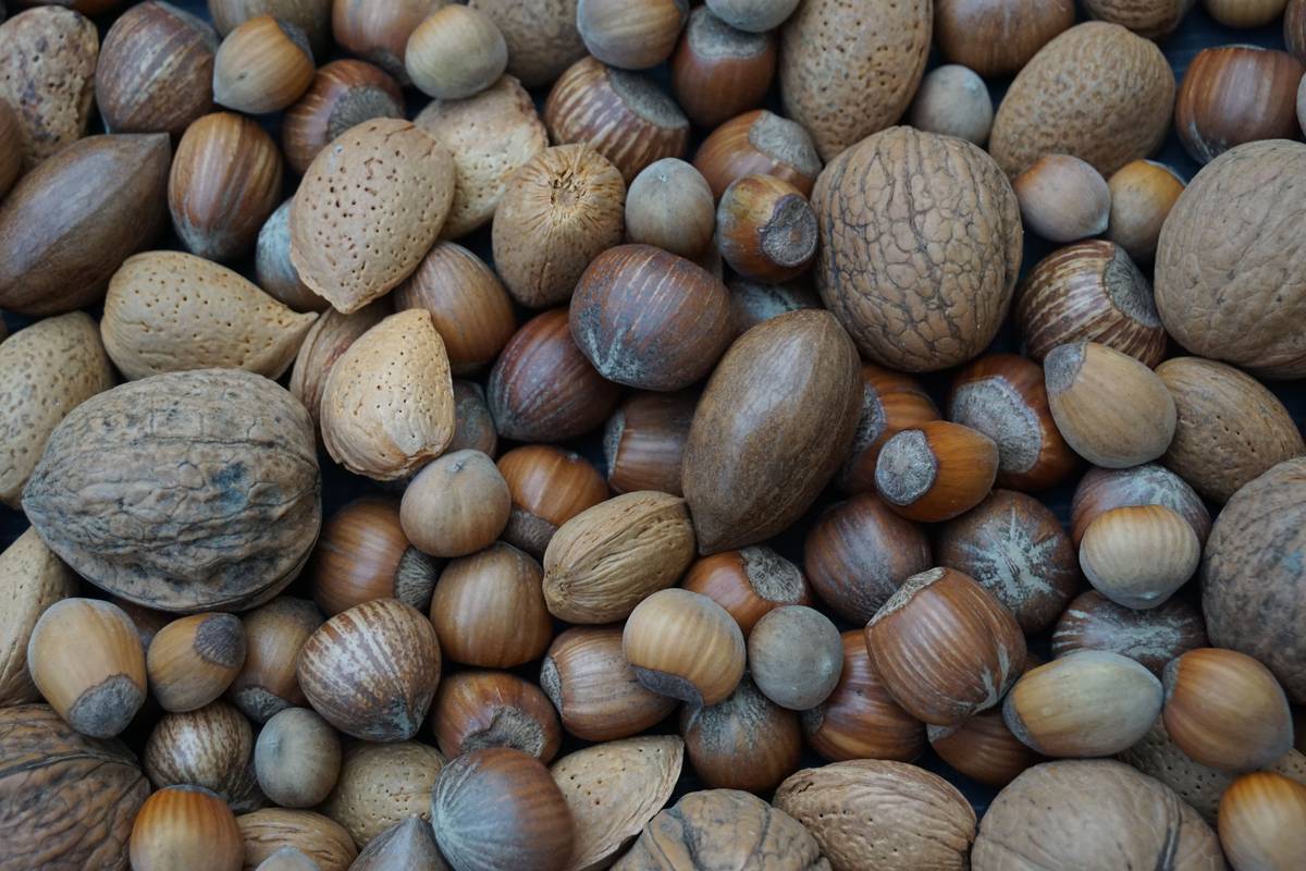 Infographic showing fatty acid profile of organic hazelnut oil: 78% oleic acid, 10% linoleic acid, 8% palmitic acid, plus vitamin E and phytosterols