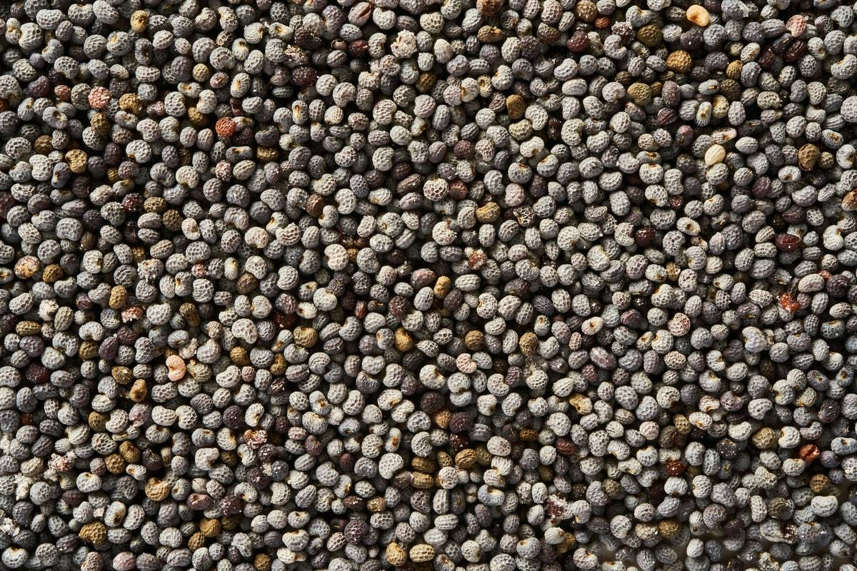 Is Virgin Mustard Blend the Underrated Skin Savior You’ve Been Sleeping On?