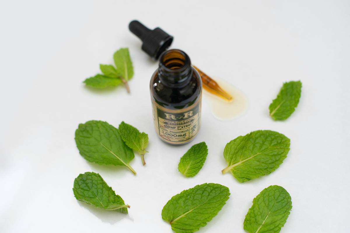 Marjoram Extract: The Underrated Organic Oil That’s Quietly Transforming Skincare Routines
