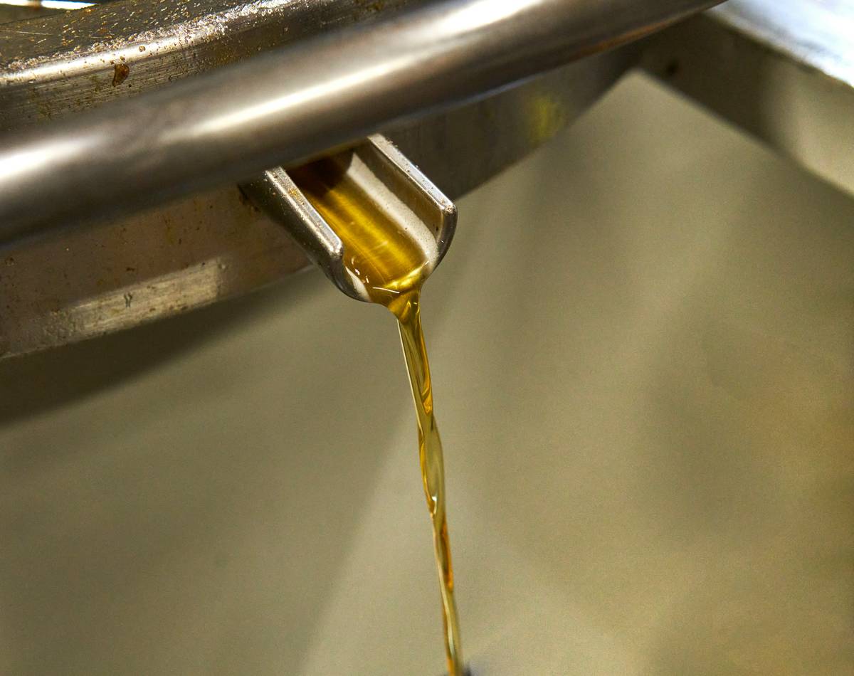 Steam distillation setup showing neroli essence being extracted from bitter orange blossoms in copper still