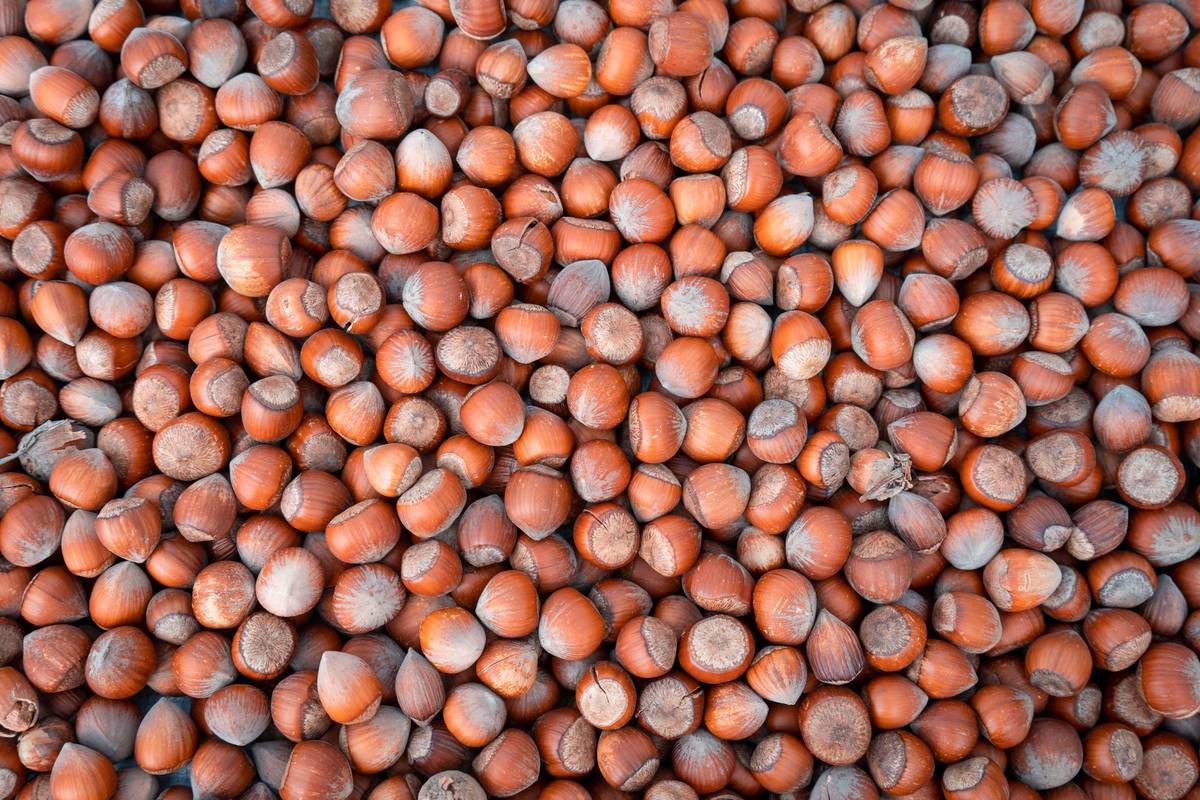 Why Your Skin Loves an Organic Hazelnut Blend (And How to Use It Right)