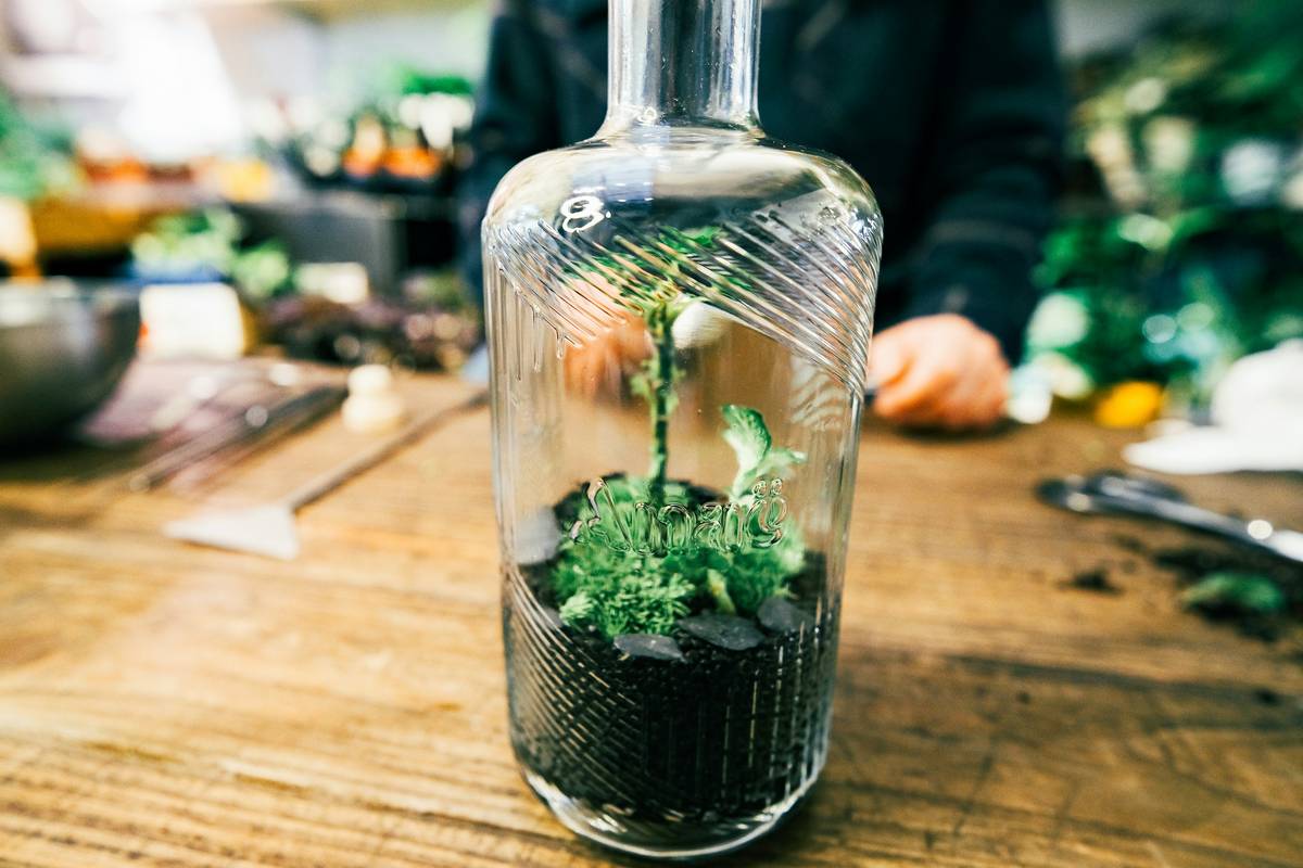 Why Pine Essence Is the Underrated Hero of Organic Skincare (And How to Use It Right)