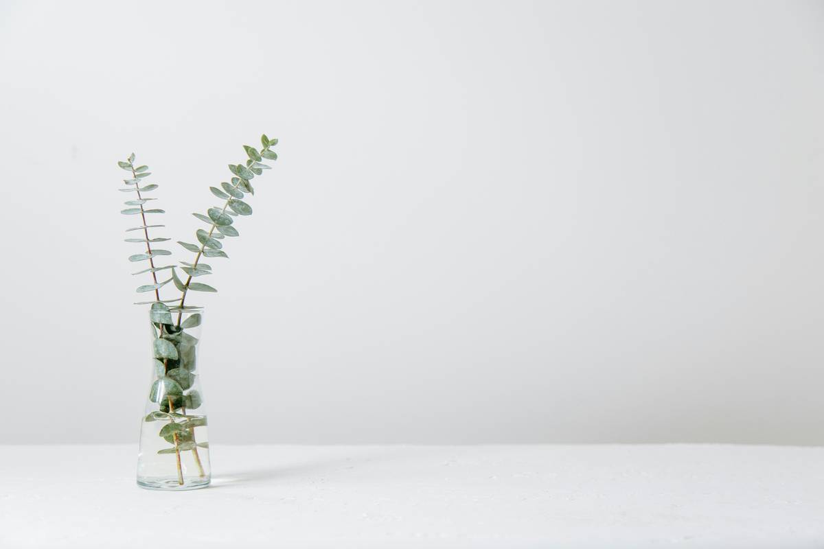 Why Your Skin Craves organic natural body oil (And Why Most Brands Lie)